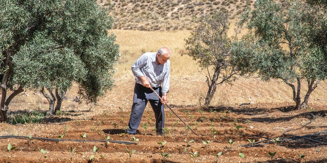 Farmer in Jordan who received support to improve pest control and water access