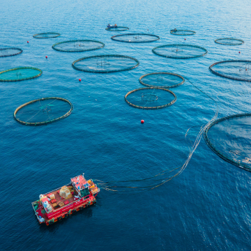 Aquaculture farmers boost productivity with advanced water management technology