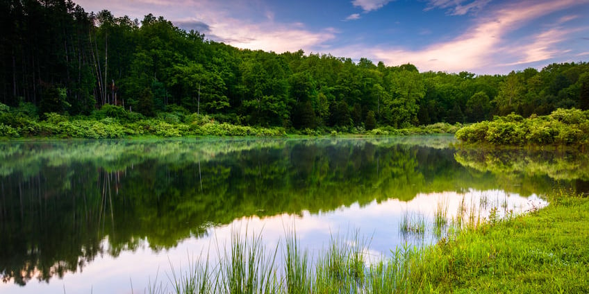 Image of pond