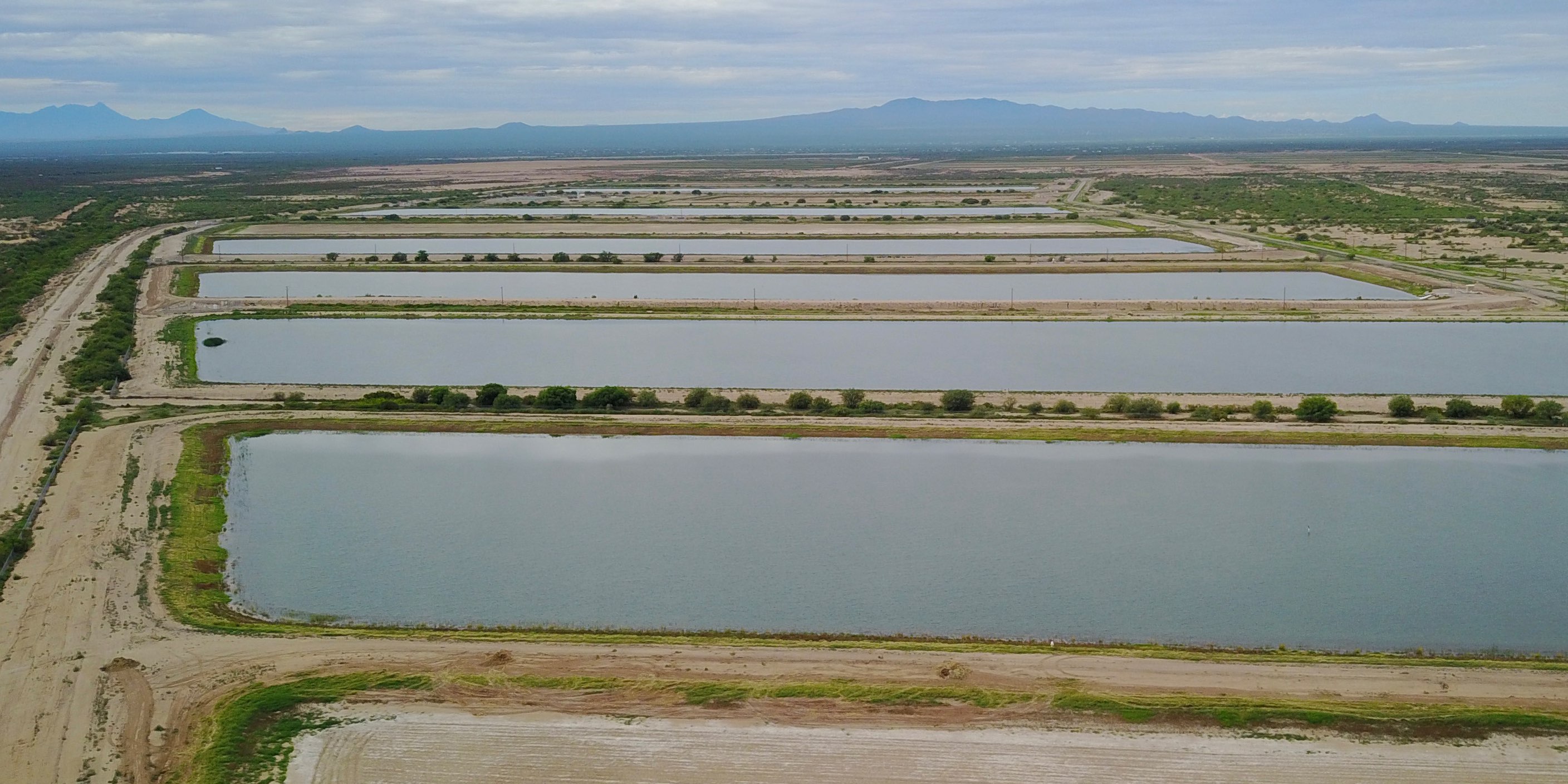 Tucson Water utility ponds