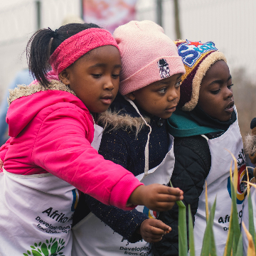 The Soweto Garden Network: Creating a new model to feed communities