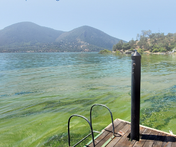 Xylem’s innovative underwater vehicle gives new insights into harmful algal blooms