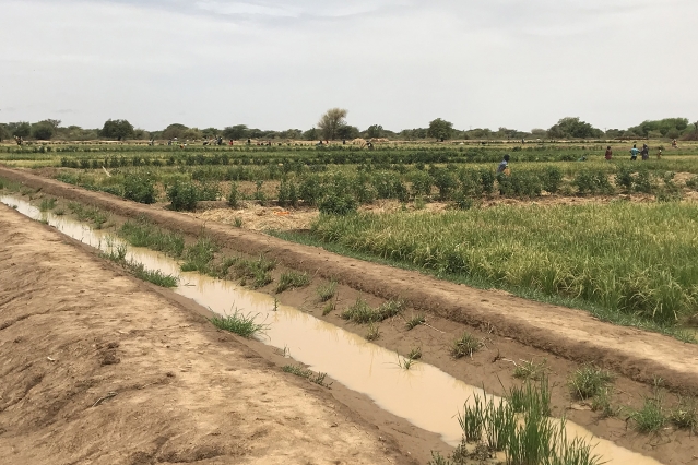 irrigation-field-mit-j-wafs-00_0.jpeg