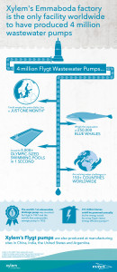 Flygt_InfoGraphic_v4-01-130x300.jpg