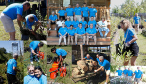 Xylem employees volunteer thousands of hours1.jpg