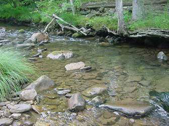 turbidity-blog-1.jpg