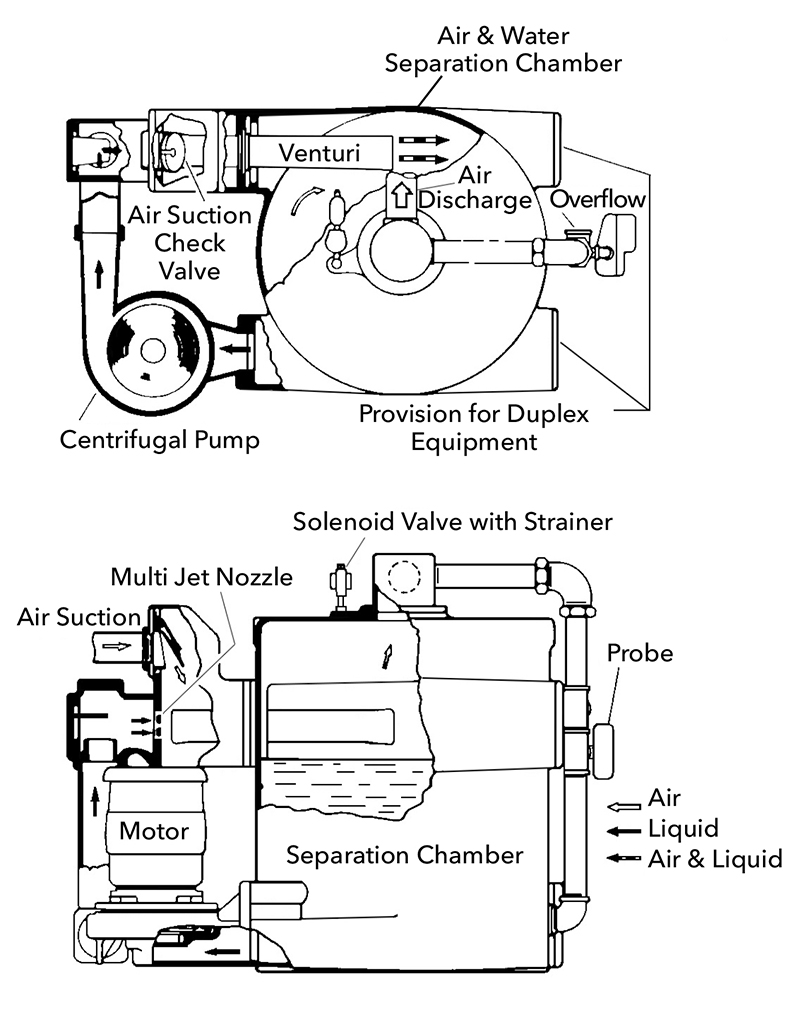 Figure1.jpg