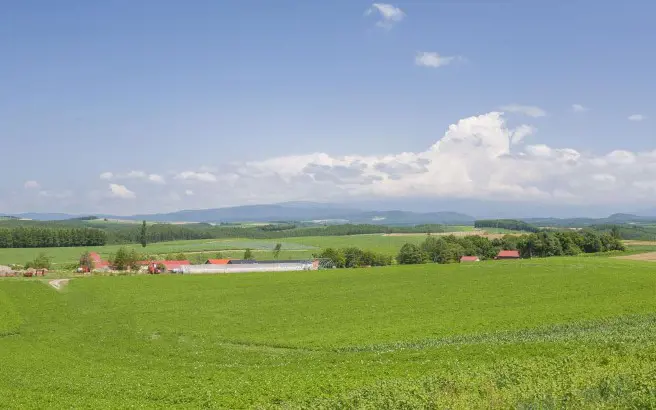 Agricultura e irrigação