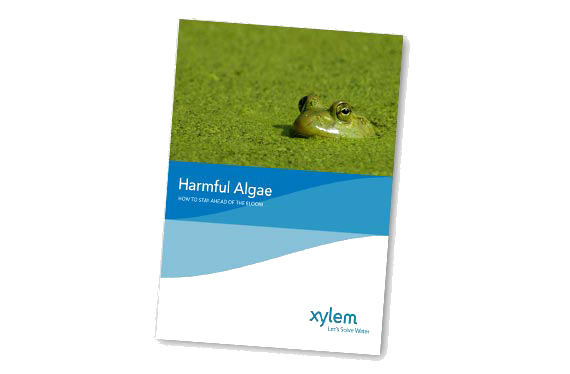 clean-water-brochure.jpg